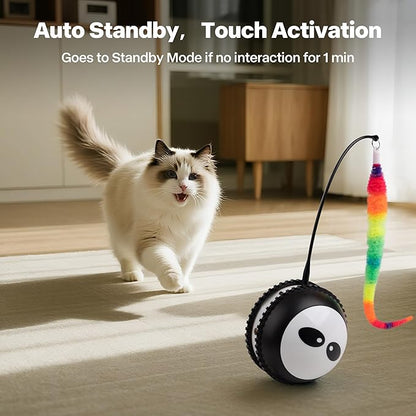 Pet Prime Interactive Cat Toy Motion Activated Cat Laser Toy Automatic Self Moving Ball with Bird Chirping,Rechargeable Exercise Stimulation Toys for Bored Black