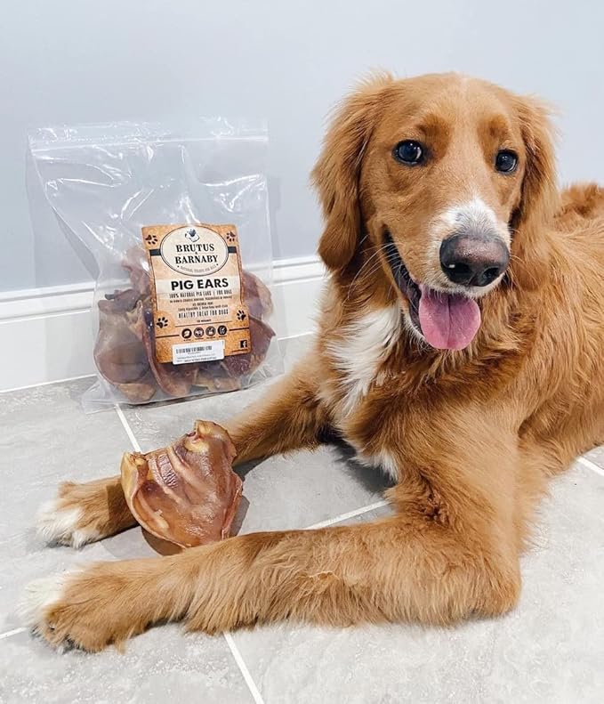 100% Natural Whole Pig Ear Dog Treat - 12 Pack Our Healthy Pig Ears Are Easy To Digest, Chemical & Hormone Free Thick Cut For Aggressive Chewers, Great Small Or Large Dogs
