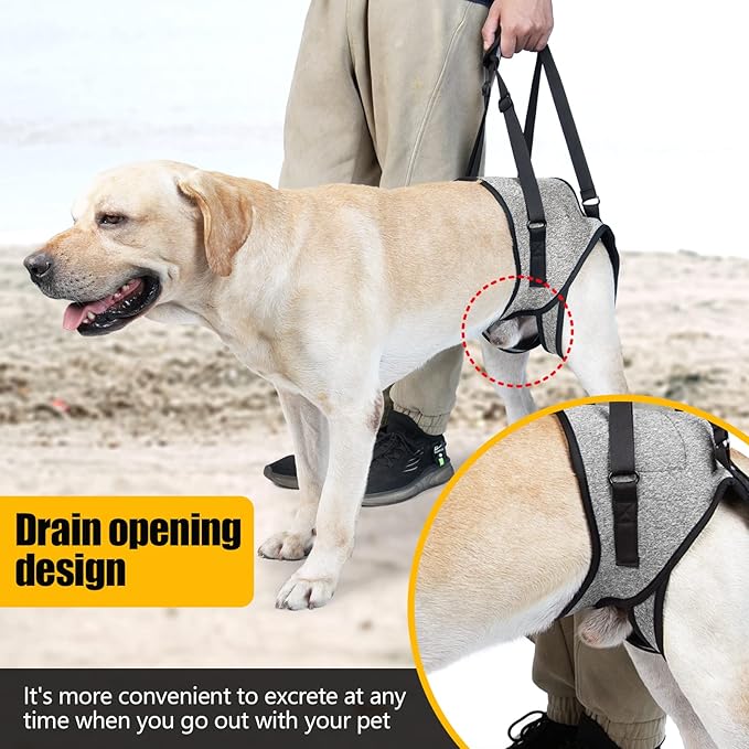 Dog Leg Support for Back Legs, Adjustable Lift Harness for Dog, Breathable Dog Sling for Rear Legs Grey X-Large