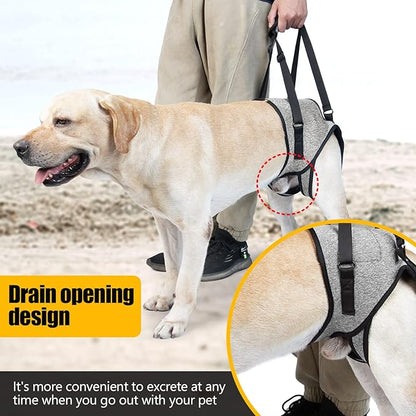Dog Leg Support for Back Legs, Adjustable Lift Harness for Dog, Breathable Dog Sling for Rear Legs Grey X-Large