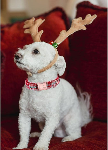 Lionheart glory Christmas Plaid Dog Collar, Dogs Collar Adjustable Soft and Comfortable Dog Collars for Large Dogs Girl or Boy Pet Gift Fall Collar Dog Collar