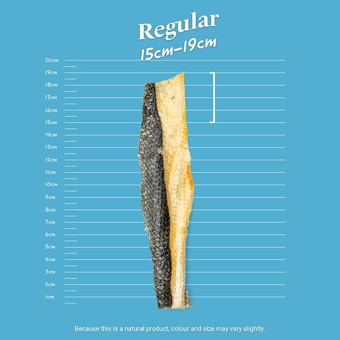 SKIPPER'S Salmon Fish Skin Flatties - Dental Chews for Dogs, Long Lasting Natural Dog Treats, Healthy Pet Supplies Support Skin Coat & Joint Function | Salmon Fish Dried Flatties Dog Food (3.5Oz)