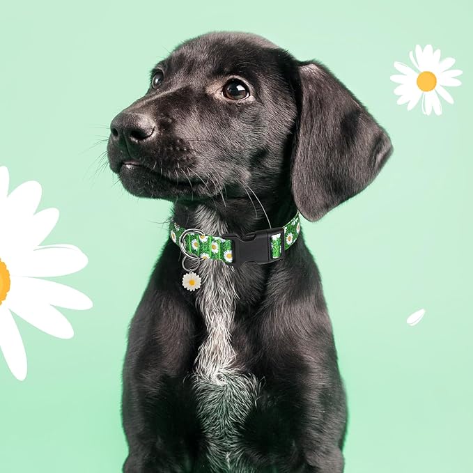 BiPawTi Green Dog Collars for Large Dog - St. Patrick's Day Dog Collars for Girls Dog, Cute Flower Spring Dog Collar with Daisies Charms, Gift for Female Male Boys Girls Dogs (L, Green)
