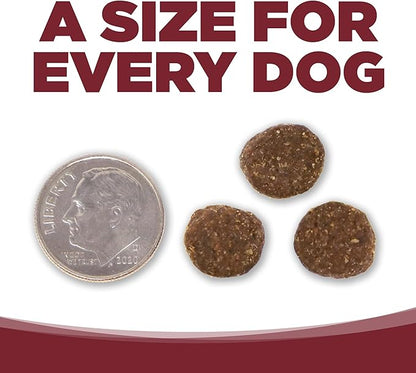 NutriSource Dry Dog Food, Beef and Rice, 4LB