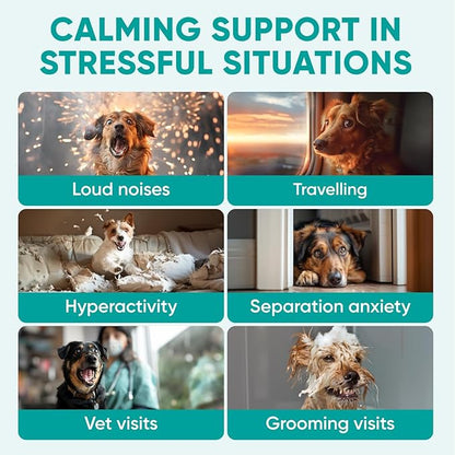 Dog Calming Chews for Anxiety Relief - Hemp Calming Chews for Dogs - 120 Soft Treats - Stress, Separation - USA Product - Melatonin, Passion Flower, Chamomile