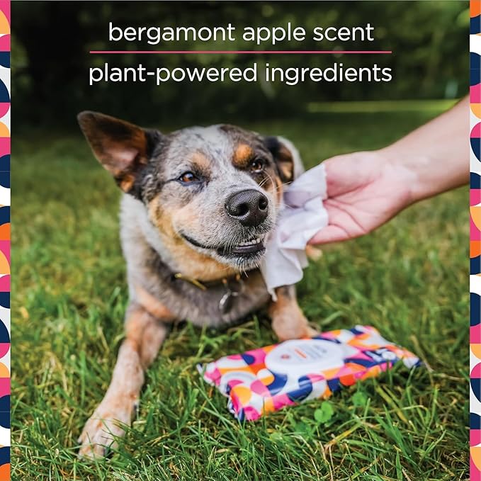 Pet Life Unlimited Dog Spray Shampoo & Cleansing Dog Wipes, Bergamot Apple (40 ct) Bundle - Dog Shampoo and Conditioner Foaming 2-in-1 Spray - Dog Grooming Wipes for Cleansing & Deodorizing Pet Wipes