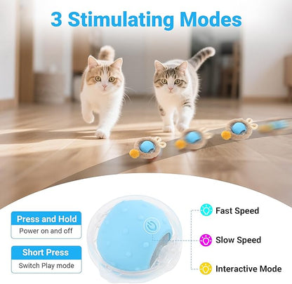 Interactive Cat Toys for Indoor Cats Fast Rolling Ball, Automatic Motion Activated Ball, Hide and Seek for Indoor Exercise Toys, Real Bird Squeaky for Kitten Exercise Kicker