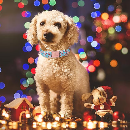 Christmas Dog Collars for Small Dog,Blue Santa Claus Dog Collar with Safety Metal Buckle Adjustable Puppy Collars for Medium Large Dog,Boy&Girl&Female Dog Gift,XS-8"-13"