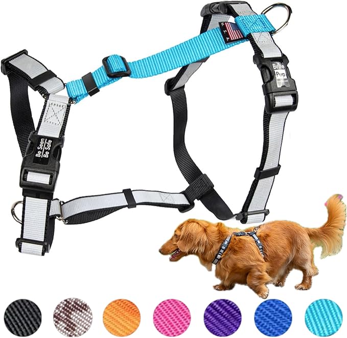 Dog Harnesses - No Pull Harness - Fully Customizable Fit for Small Dogs - 3M Reflective Heavy Duty Harness for Walking & Training - No Choke Comfort Collar Design, Made in USA S-Sky Blue
