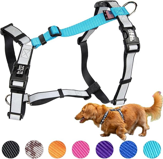 Dog Harnesses - No Pull Harness - Fully Customizable Fit for Small Dogs - 3M Reflective Heavy Duty Harness for Walking & Training - No Choke Comfort Collar Design, Made in USA S-Sky Blue