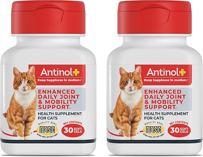 Antinol Plus, Mobility, Hip, and Joint Supplement for Cats, Green-Lipped Mussels and Krill Oil - Cat Joint Supplement, 60 Soft Gels