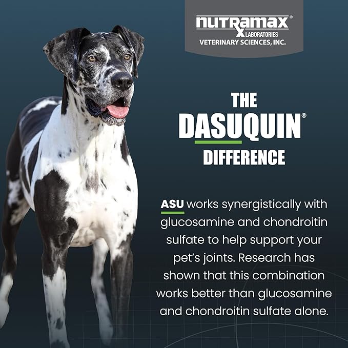 Nutramax Dasuquin for Large Dogs, Joint Health Supplement, Contains Glucosamine for Dogs, Plus Chondroitin, ASU, MSM and More, Supports Healthy Joints, Chewable Tablets, 84 Count