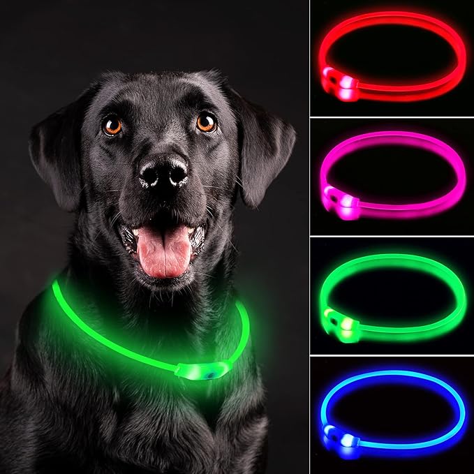 LED Dog Collar, Rechargeable Light Up Dog Collars,IP67 Waterproof Dog Lights for Night Walkingï¼_djustable, Reusable Safety Necklace for Small Medium Large Dogs (Green)