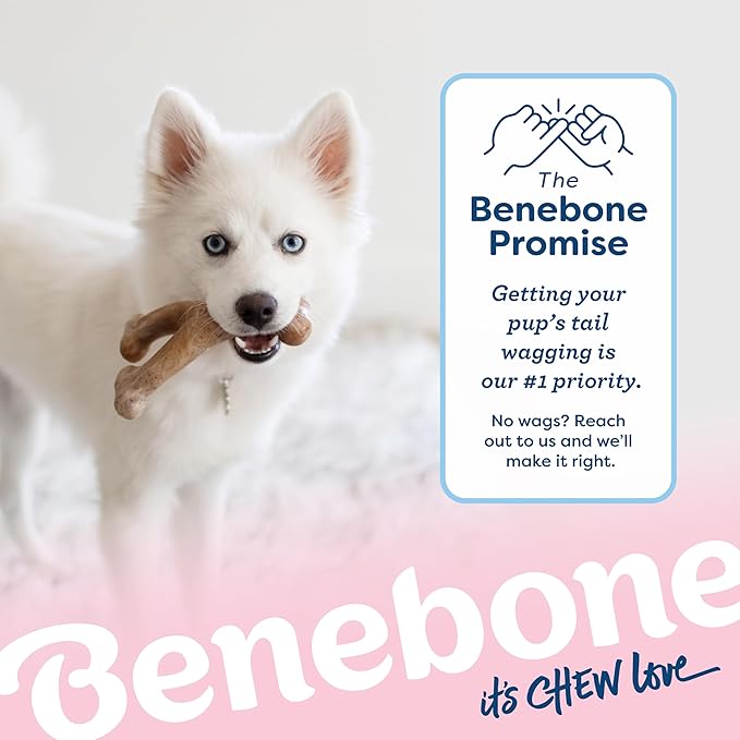 Benebone Puppy Fishbone Dog Chew Toys, Softer for Modest Chewers, Made in USA