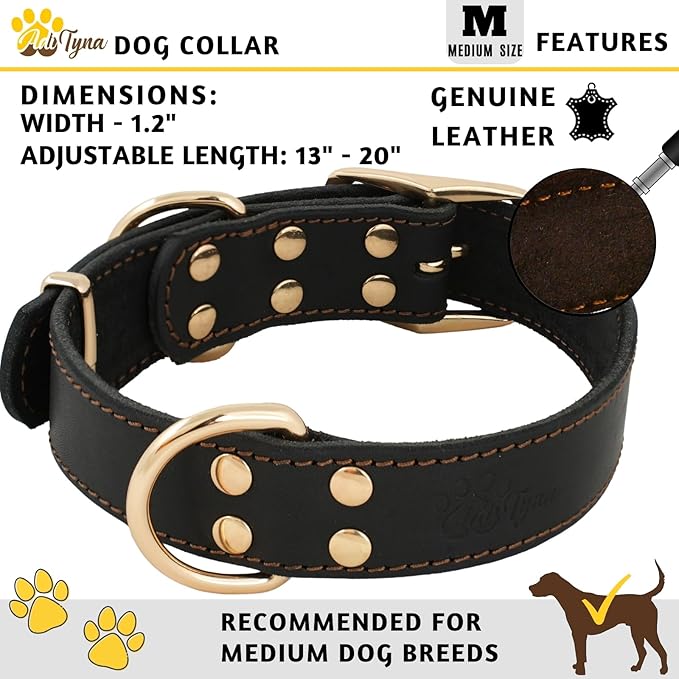 ADITYNA Heavy Duty Leather Dog Collar for Medium Dogs - Soft and Strong Leather Dog Collar for Medium Dog Breeds (Black - Gold Colored Buckle, Medium: Fit 13" - 20" Neck)