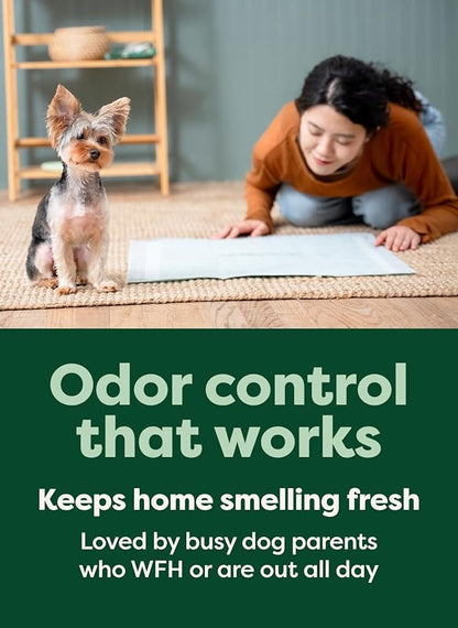 Earth Rated Max Absorbency Puppy Pee Pads for Dogs Absorbs 2X Faster & 2X More, Leak-Proof Odor-Free Potty Training Wee Wee Pad, Unscented, 3XL, 36” x 36”, 24 Count