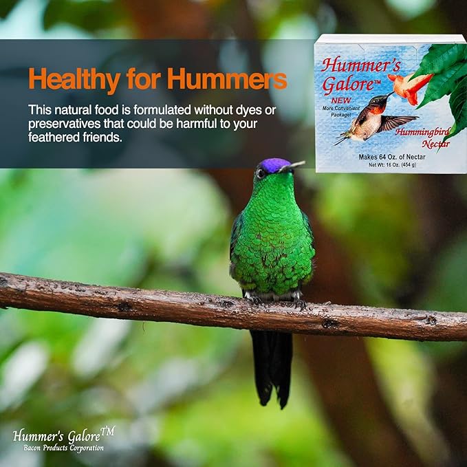 Hummer's Galore Hummingbird Food, Ready-to-Mix Hummingbird Nectar, All-Natural Nectar Collector Formula, No Preservatives or Dyes, Makes 192 oz (Pack of 3)