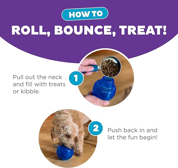 Outward Hound by Planet Dog Lil' Snoop Interactive Treat Dispensing Dog Toy, Small, Royal Blue