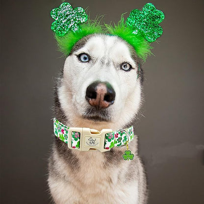 Elegant little tail St Patrick's Day Dog Collar-Green Cute Colver Cotton Shamrock Pet Collar Trefoil Holiday Adjustable Cotton Pet Collar with Quick Release Buckle for Small Medium Large Dogs