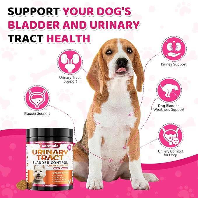 Dog Urinary Tract Supplement, Cranberry Supplement for Dog Urinary Tract, Bladder Support, Kidney Support, 200 Chews Natural Cranberry Support for Dogs