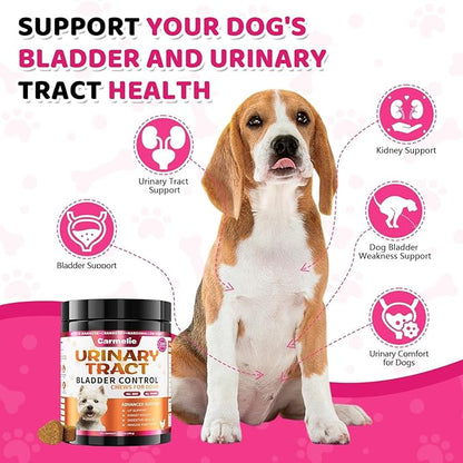 Dog Urinary Tract Supplement, Cranberry Supplement for Dog Urinary Tract, Bladder Support, Kidney Support, 200 Chews Natural Cranberry Support for Dogs
