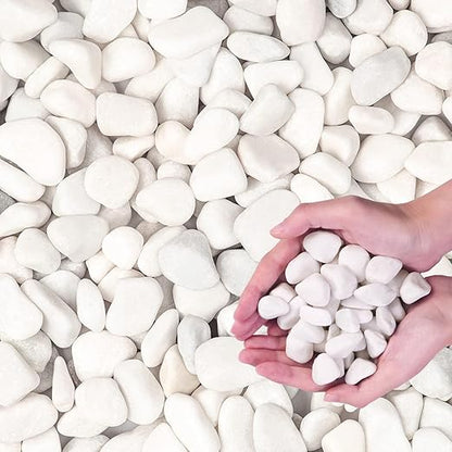 20Ib Snow White River Rock- Decorative Pebbles for Plants - River Rocks Outdoor Landscaping- 0.3"-0.8" inch Polished Stones for Aquarium, Home Decor,Garden Decor