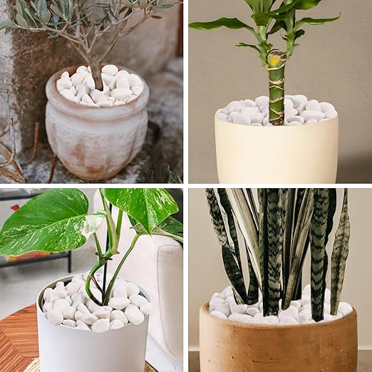 20Ib Snow White River Rock- Decorative Pebbles for Plants - River Rocks Outdoor Landscaping- 0.3"-0.8" inch Polished Stones for Aquarium, Home Decor,Garden Decor