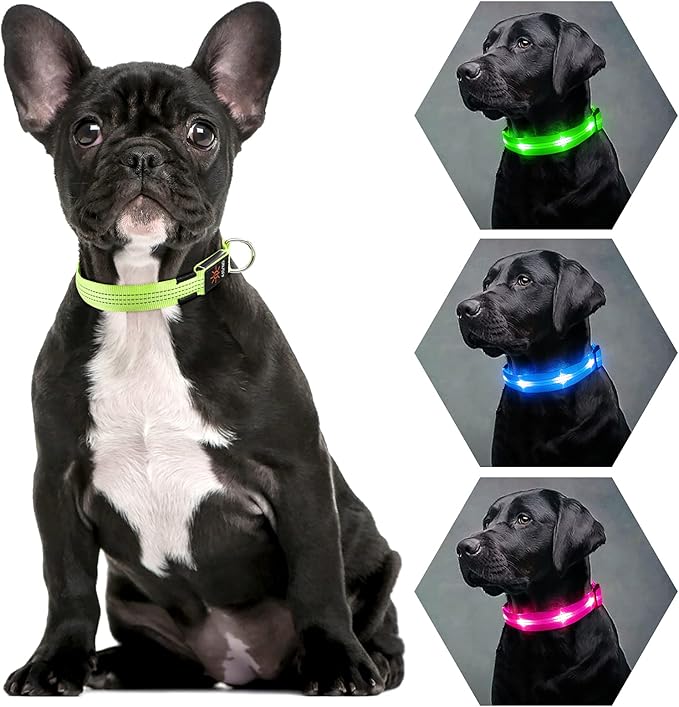 BSEEN Light Up Dog Collars - Glowing LED Dog Collar, Reflective Puppy Collar, Adjustable Lighted Dog Collar, Rechargeable Pet Collar for Night Walking (Green-II, Large)