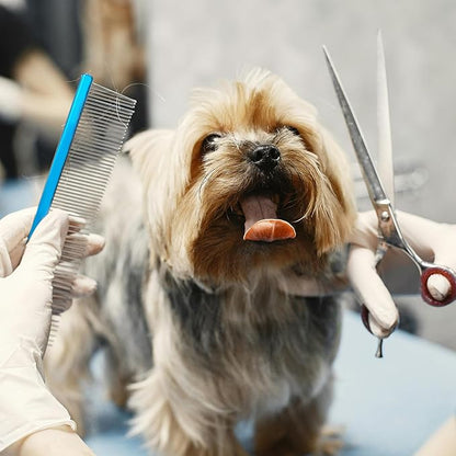 2 Pack Dog Combs with Stainless Steel Teeth Applicable to Cat Dog Comb Removing Tangles Easily Remove Dirt Grooming Anti-Slip Comfort Grip Handle ï¼_lueï¼