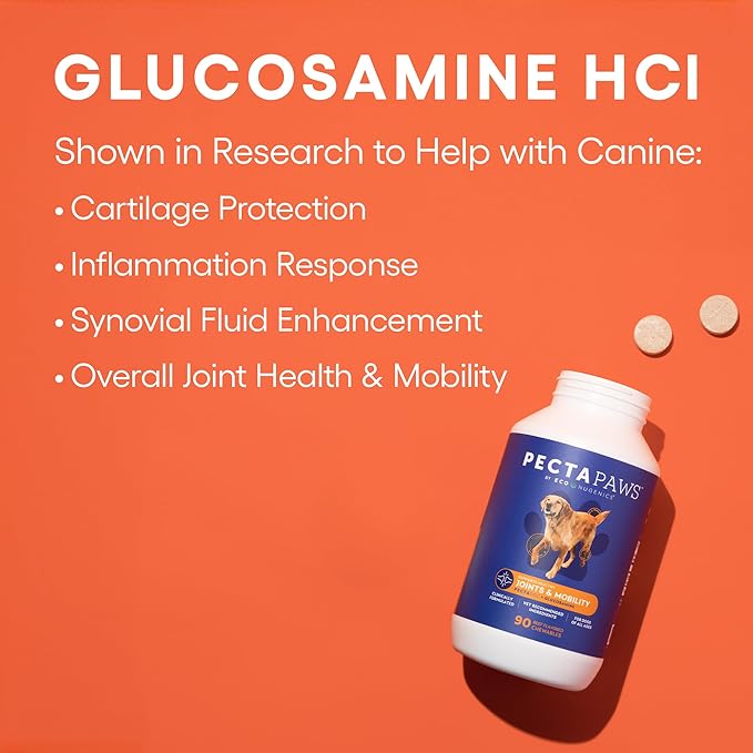 ecoNugenics PectaPaws Chewable Dog Supplements – Beef Flavor, 90 Count – PectaSol Modified Citrus Pectin + Glucosamine HCI for Dogs of All Ages, Supports Mobility, Joints, Immune Function, Pain Relief