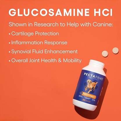 ecoNugenics PectaPaws Chewable Dog Supplements – Beef Flavor, 90 Count – PectaSol Modified Citrus Pectin + Glucosamine HCI for Dogs of All Ages, Supports Mobility, Joints, Immune Function, Pain Relief