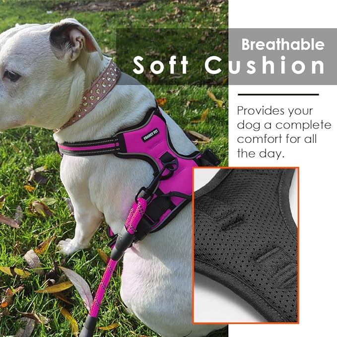 Dog Harness and Leash Duo, No Pull Vest Harness with 5 Ft Leash, Soft padded Vest, No-Choke Oxford Pet Harness, Easy Control Handle and Adjustable Pet Harness (Rose Red, Medium)