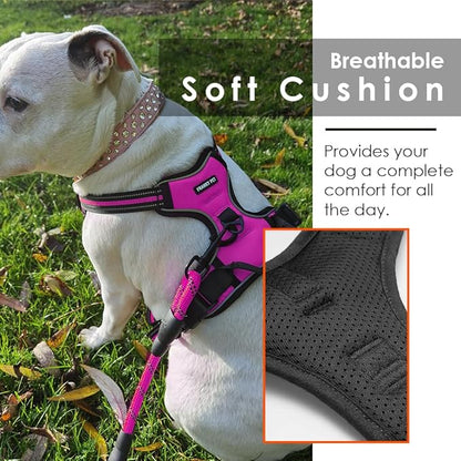 Dog Harness and Leash Duo, No Pull Vest Harness with 5 Ft Leash, Soft padded Vest, No-Choke Oxford Pet Harness, Easy Control Handle and Adjustable Pet Harness (Rose Red, Medium)