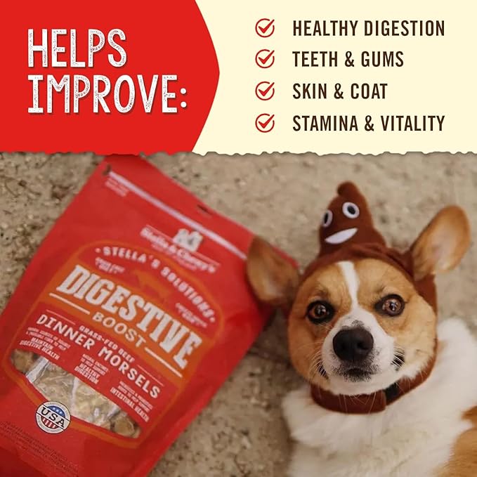 Stella & Chewy's – Stella’s Solutions Digestive Boost – Grass-Fed Beef Dinner Morsels – Freeze-Dried Raw, Protein Rich, Grain Free Dog Food – 4.25 oz Bag