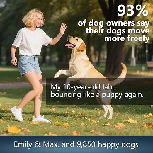 Glucosamine for Dogs - 150 Soft Chews, Hip & Joint Supplement with MSM, Chondroitin, Turmeric  Joint Support for Dogs Chicken Flavor  Vet Formulated  2-Month Supply