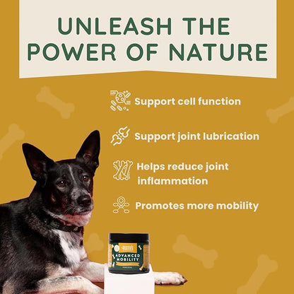 Rusty's Pet Essentials Premium Hip & Joint Dog Supplement (170 Chews) - Advanced Mobility - Formulated with Chondroitin - Calcium - Glucosamine - Turmeric & MSM for Joint Health - Made in The USA