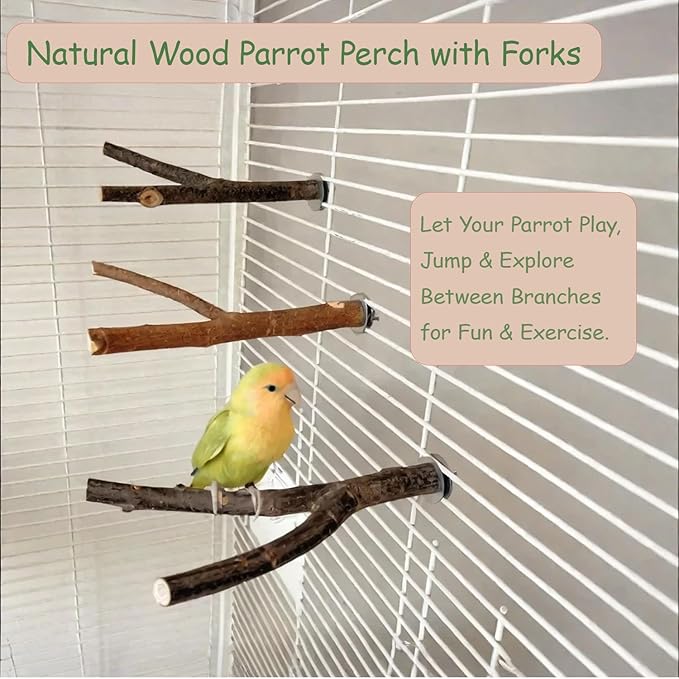Bird Perches for Cage with Thick Thin Natural Wood, ROOJUNE Bird Cage Accessories 4 Pack Bird Perch Platform for Small Medium Parakeets Parrots Conures Cockatiels Finches Lovebirds
