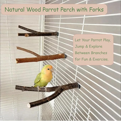 Bird Perches for Cage with Thick Thin Natural Wood, ROOJUNE Bird Cage Accessories 4 Pack Bird Perch Platform for Small Medium Parakeets Parrots Conures Cockatiels Finches Lovebirds