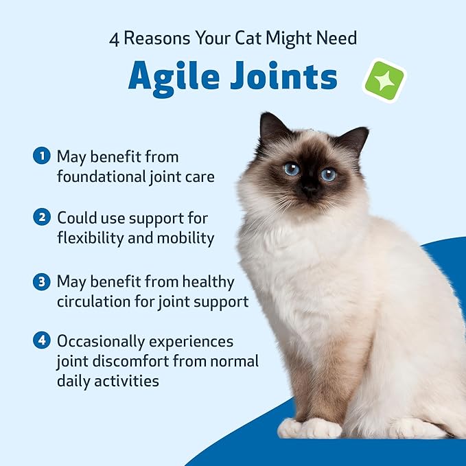 Pet Wellbeing Agile Joints for Cats - Veterinarian-Formulated - Hip and Joint Health, Mobility, Devil_ Claw, Boswellia, Joint Ligament and Cartilage - Herbal Supplement 4 oz (118 ml)