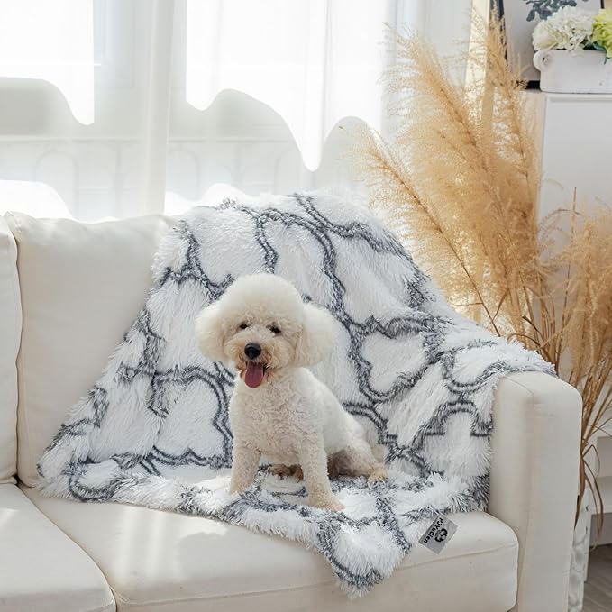 PJYuCien Fluffy Fleece Calming Pet Throw Blanket, Super Soft and Warm for Indoor Cats and Dogs, Small 16 * 24", Machine Washable, Grey Diamond Pattern, White Puppy Blanket