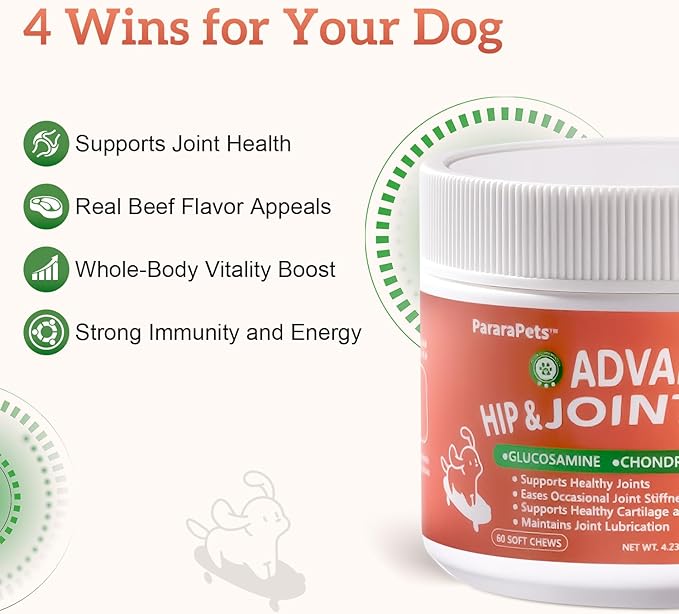 Advanced Dog Hip and Joint Supplement with Glucosamine, Chondroitin, MSM, and Vitamin C, Beef Flavor, 60 Soft Chews