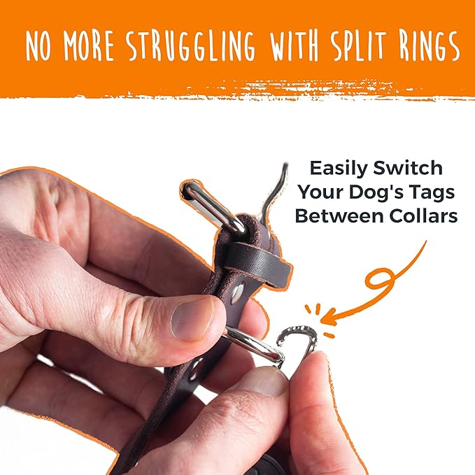 Mighty Paw Dog Tag Carabiner Clips - 3 Pack Strong Dog Tag Clip - Weather Resistant & Easy to Clean Quick ID Holders - Easy Switch Dog Tags - Attach Keys or Poop Bag Holders - for All Size Collars