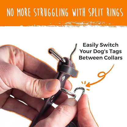 Mighty Paw Dog Tag Carabiner Clips - 3 Pack Strong Dog Tag Clip - Weather Resistant & Easy to Clean Quick ID Holders - Easy Switch Dog Tags - Attach Keys or Poop Bag Holders - for All Size Collars