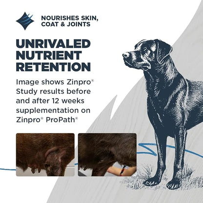 Blackwood Sensitive Skin & Stomach Dry Dog Food, Catfish Meal & Brown Rice with Ancient Grains, 4.5 Pound Bag with Prebiotics & Probiotics to Promote Gut Health