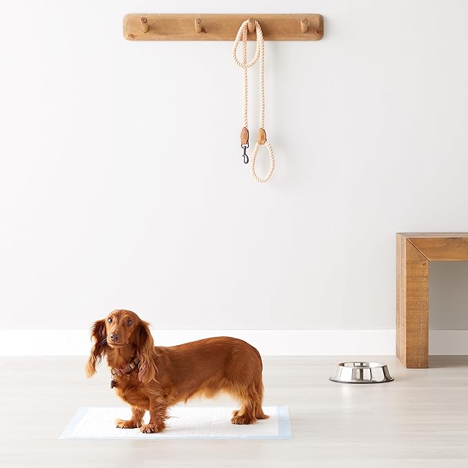 Amazon Basics Heavy Duty Dog and Puppy Pee Pads, 5-Layer Leak-Proof Ultra Absorbent, Quick-Dry Surface, Potty Training, Regular (24x23"), 80 Count, Blue & White