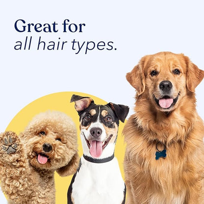 Honest Paws Dog Dry Shampoo - Waterless No Rinse Spray Formula Reducing Itch Cleanse Hydrate Nourish Dry Skin and Smelly Coat Help Decrease Odor Shedding and Allergies - Mandarin & Berry - 8 oz