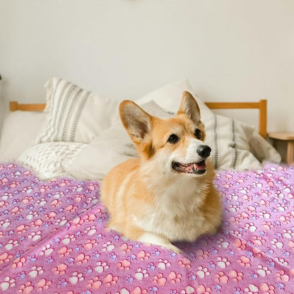 Dog Blankets for Medium Large Dogs Washable, 3 Pack Pet Blanket Washable 41" x 31", Fuzzy Soft Puppy Blanket Throw Cover for Kennel Crate Bed, Blanket for Dogs, Pet Blankets for Dogs