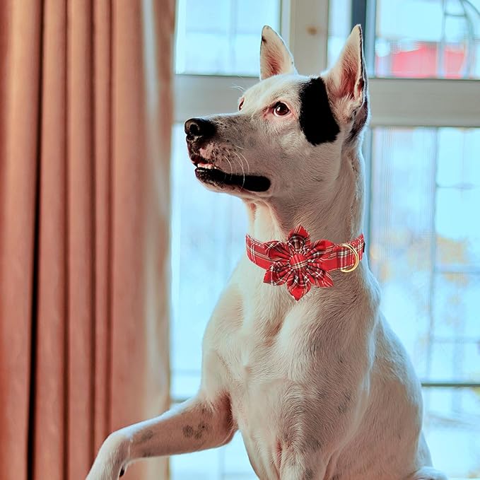 MR. CHUBBYFACE Christmas Red Plaid Dog Collar with Flower, Cotton Christmas Collar with Metal Buckle, Boy Girl Dog Collars for Small Medium Large Dogs