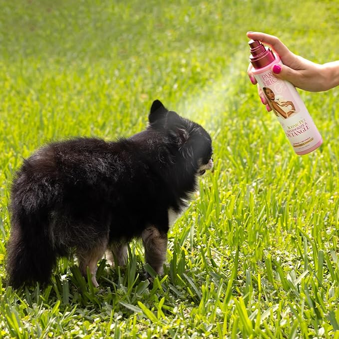 Paris Hilton Dog Perfume, Deodorizer & Detangler | Odor Neutralizing with Sweet Floral Apple Blossom Scent - Sulfate-Free, Vegan, Hypoallergenic for All Pet Breeds 10oz/295ml