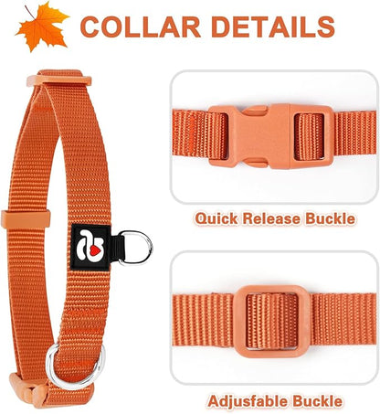 azuza 3 Pack Fall Dog Collars Comfortable and Adjustable Nylon Dog Collars for Puppy Small Dogs, XS (8-12inch)ï¼_inger Yellow, Rust Orange and Latte Brown